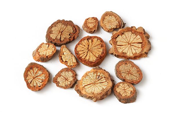 血藤泡酒的功效和作用 血藤泡酒的好处