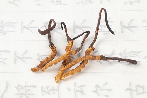 虫草泡水一次几根 虫草泡水喝有什么功效
