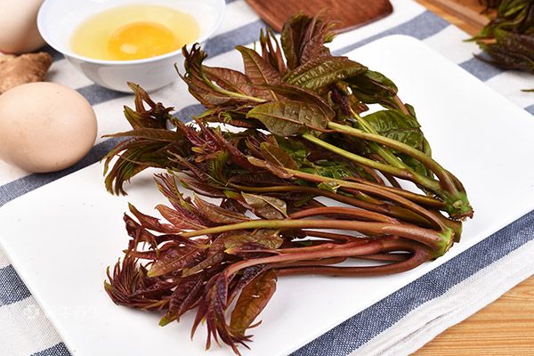 哺乳期可以吃香椿吗 香椿的功效与作用