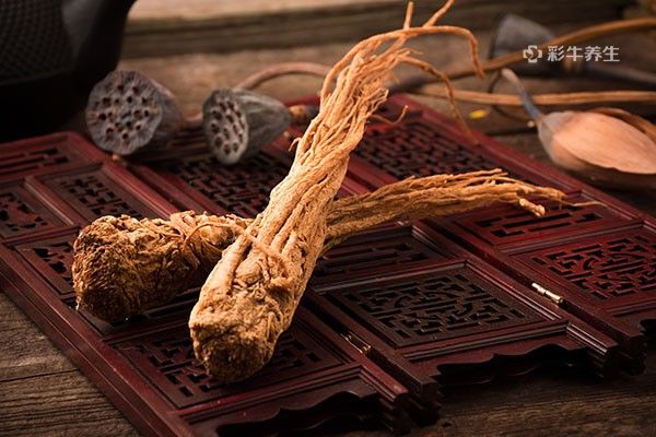 当归怎样泡水喝 当归泡水喝的功效与作用