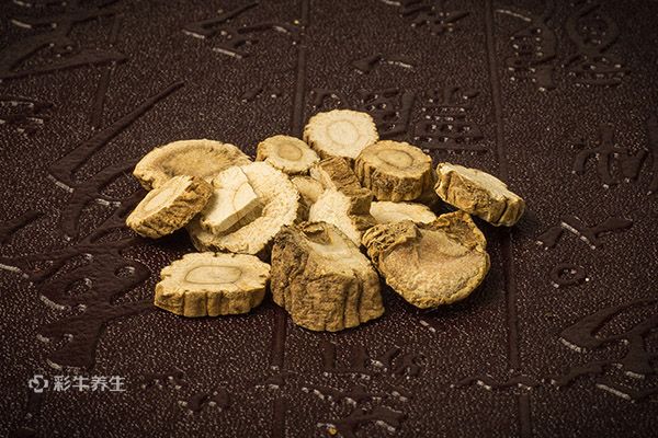 党参泡水喝的功效 党参泡水喝有哪些好处