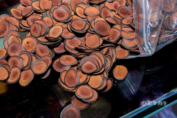 鹿茸泡酒能壮阳吗 鹿茸泡酒哪些人不能喝