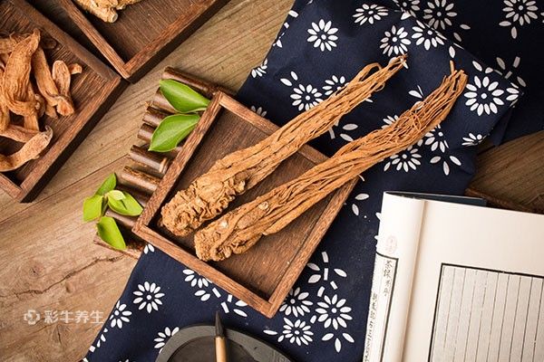 当归的功效与作用及食用方法 当归的药用价值与吃法