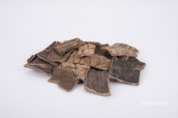 杜仲泡水喝的功效与作用 杜仲泡水喝的好处