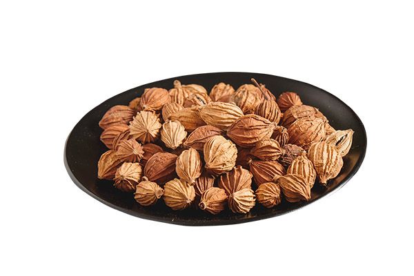 砂仁的功效与作用禁忌 砂仁的药用价值及注意事项