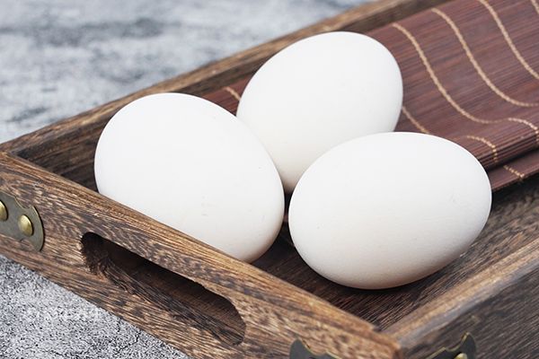 孕妇吃鹅蛋对胎儿有什么好处 孕妇吃鹅蛋的好处