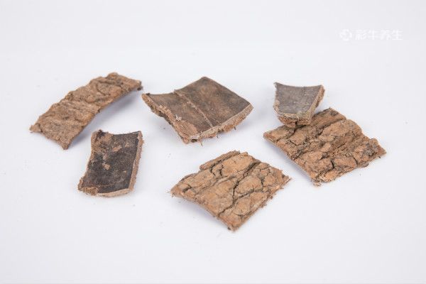 杜仲泡水喝的功效与作用 杜仲泡水喝的好处