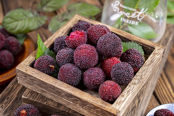 孕妇能不能吃杨梅 孕妇吃杨梅的注意事项