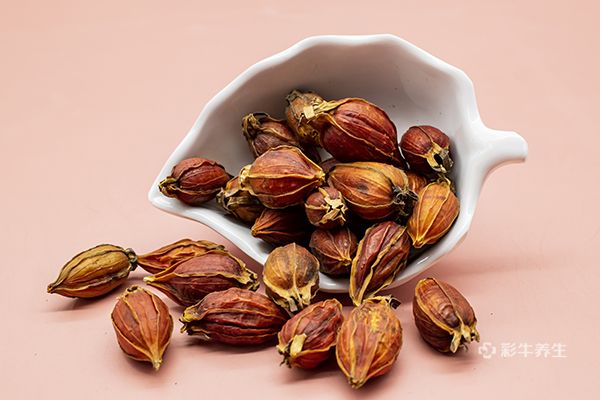 黄栀子泡水喝的功效 黄栀子泡水喝的好处