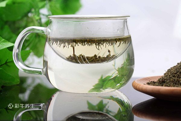 人参花怎么泡水喝正确 人参花泡水喝的功效和作用