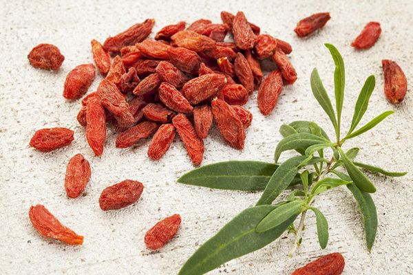 枸杞叶汤的功效与作用 枸杞叶汤的禁忌人群