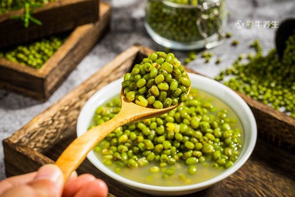 女人喝绿豆汤的好处 女人喝绿豆汤有哪些功效