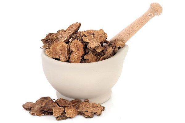 白术泡水喝的功效 白术泡水喝有哪些好处