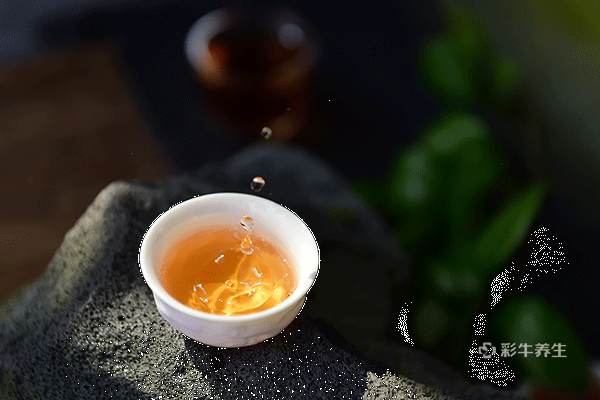 防风的功效与作用及食用方法 防风有哪些营养价值