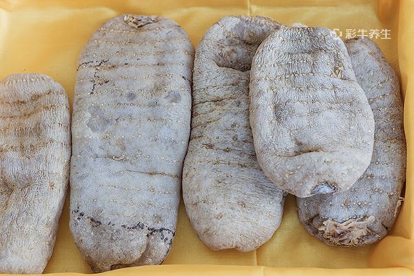 干天麻怎么泡软 天麻的功效与作用