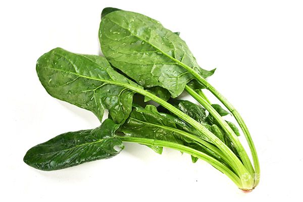 十个月的宝宝吃什么辅食好 适合十个月宝宝吃的辅食