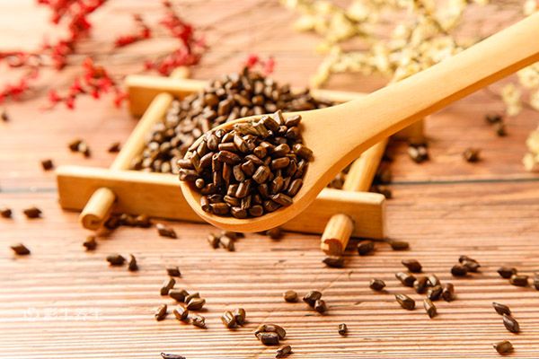 决明子一次泡多少粒 决明子泡水喝的功效和作用