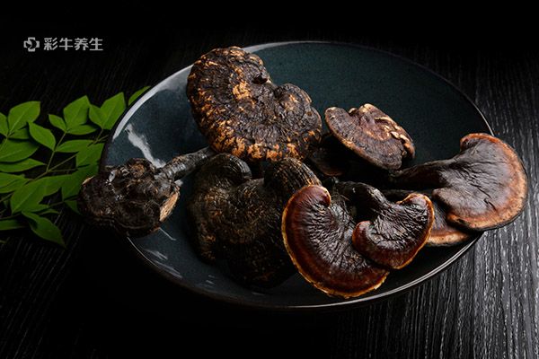 灵芝的正确吃法与用量 灵芝怎么吃效果最好