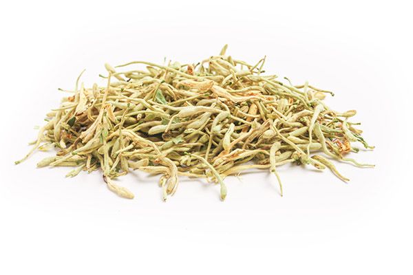 金银花可以和枸杞能一起泡水喝吗