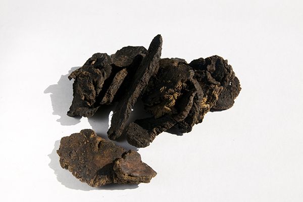 生地的功效与作用禁忌 生地的药用价值与注意事项