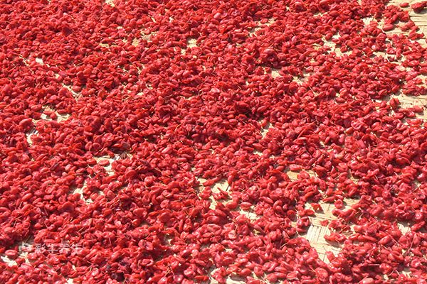 山萸肉泡水喝的功效 山萸肉泡水喝有什么好处