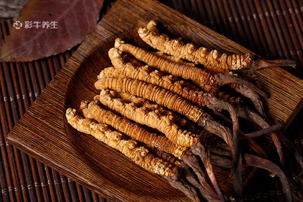 虫草泡水的最佳方法 虫草泡水的功效与作用