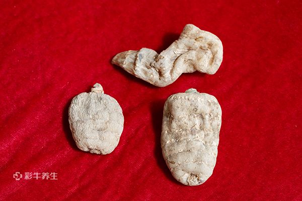 干天麻怎么泡软 天麻的功效与作用