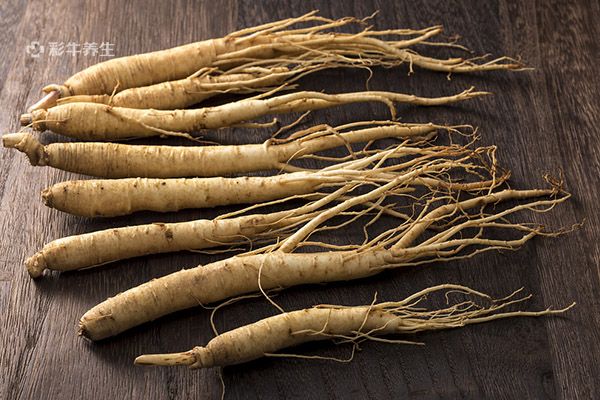 人参片泡水喝有什么功效 人参片泡水喝的好处