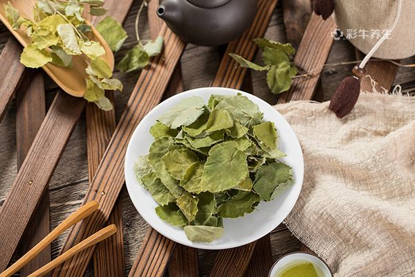 淫羊藿的功效与作用及食用方法 淫羊藿的好处及吃法