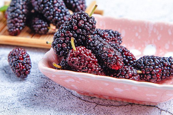 桑椹枸杞的功效与作用