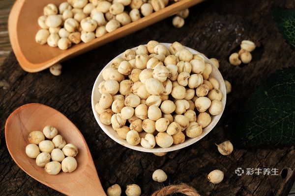 川贝的功效与作用禁忌 川贝的药用价值与注意事项