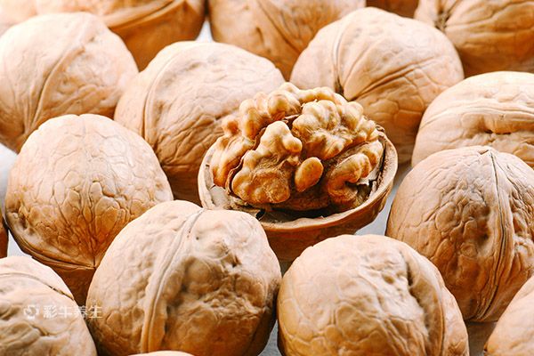 分心木泡水能天天喝吗 分心木泡水喝的功效