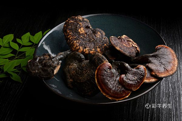 灵芝泡酒怎么泡 灵芝泡酒的功效与作用