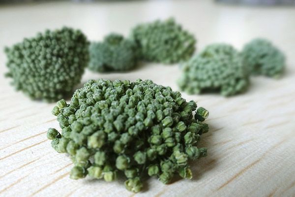 三七花泡茶喝正确吃法 三七花泡水喝的功效