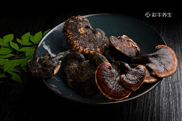 灵芝泡水喝的功效与作用 灵芝泡水喝有哪些好处