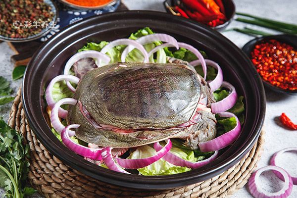 孕妇可以吃甲鱼吗 甲鱼的功效与作用