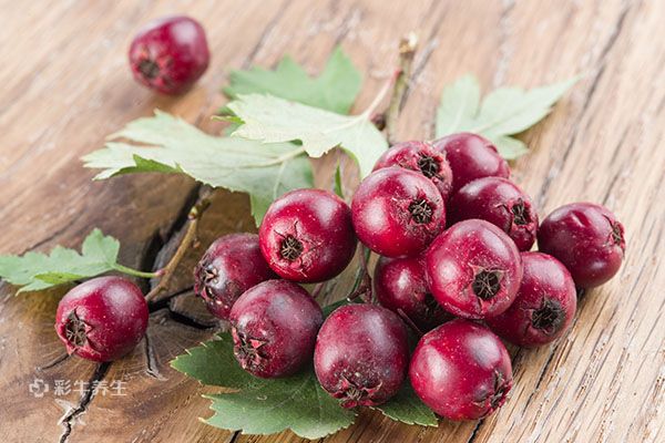 山楂叶泡水的功效与作用 山楂叶泡水的好处