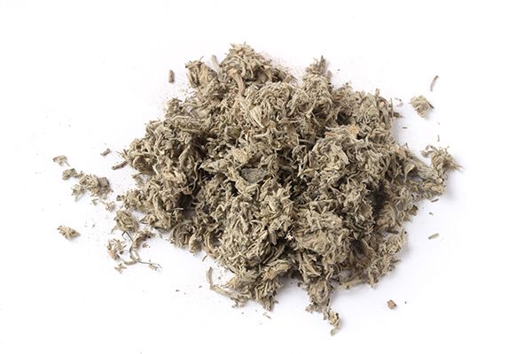 茵陈泡水一天喝几次 茵陈泡水喝的功效与作用