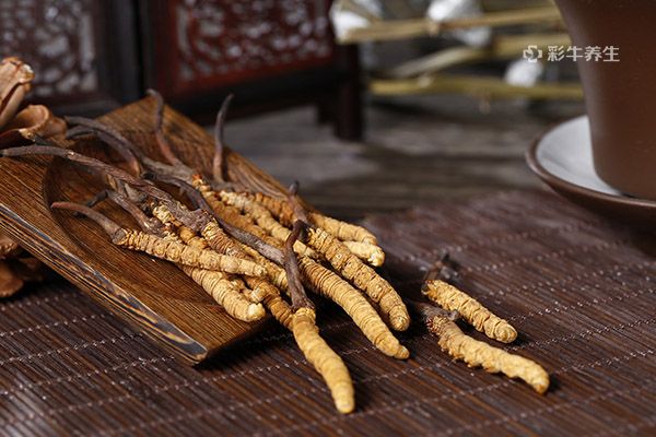 虫草泡水一次几根 虫草泡水喝有什么功效