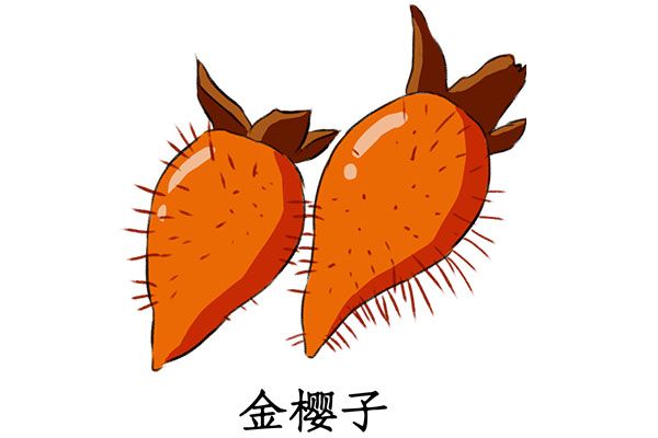 金樱子泡水喝的功效与作用 金樱子泡水喝有哪些好处