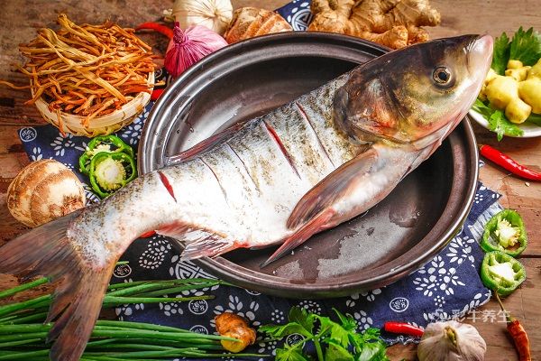 男性精子质量不好怎么调理 男性精子质量差的调理法