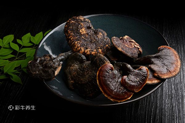 灵芝孢子粉的正确吃法 灵芝孢子粉的功效与作用