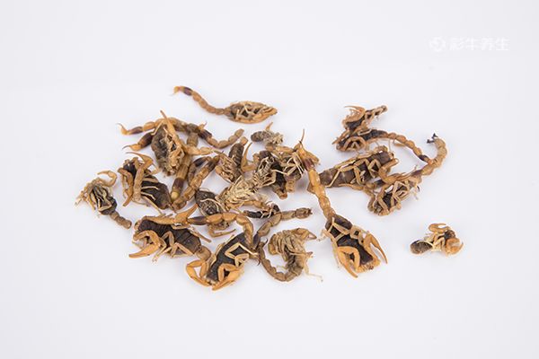 蝎子泡酒能治风湿吗 蝎子泡酒的功能和作用