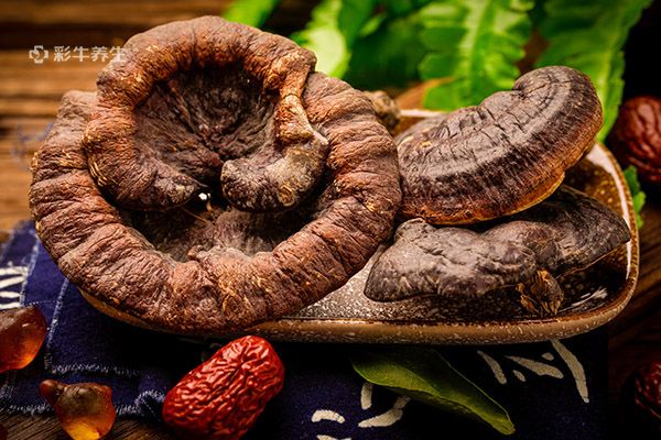 灵芝泡酒怎么泡 灵芝泡酒的功效与作用