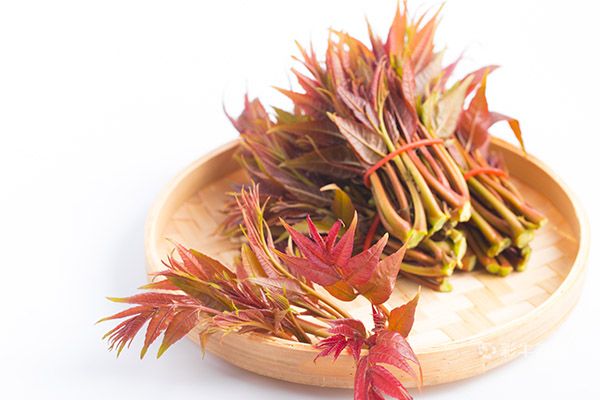 哺乳期可以吃香椿吗 香椿的功效与作用