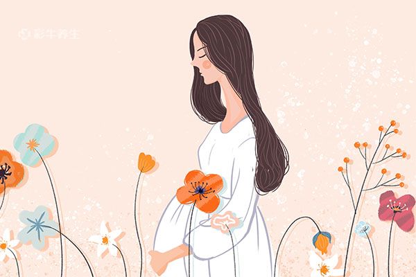 孕妇能喝枸杞泡水吗 孕妇的饮食注意事项