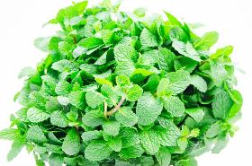 薄荷