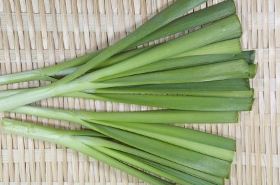 葱叶