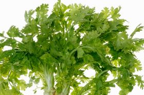 胡荽