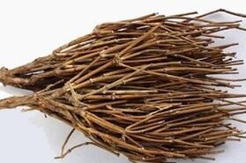 麻黄根